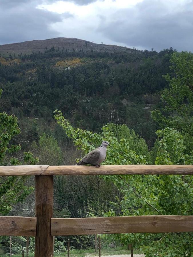 Casa Do Gaio-Turismo De Natureza Arouca Exteriér fotografie