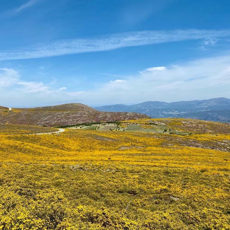 Casa Do Gaio-Turismo De Natureza Arouca Exteriér fotografie
